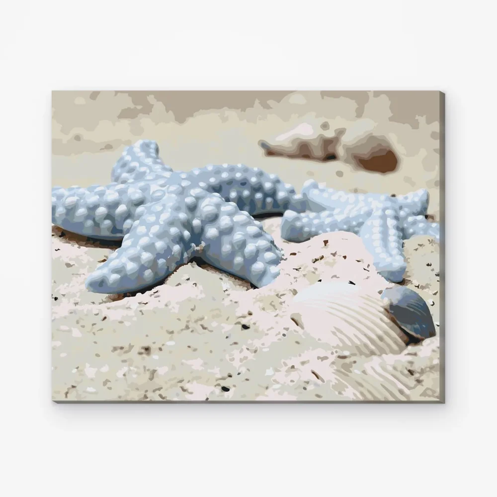 Pintar por Números - Estrellas de mar en la arena