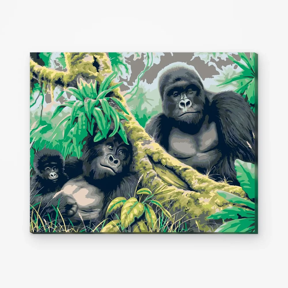 Pintar por Números - Familia de gorilas