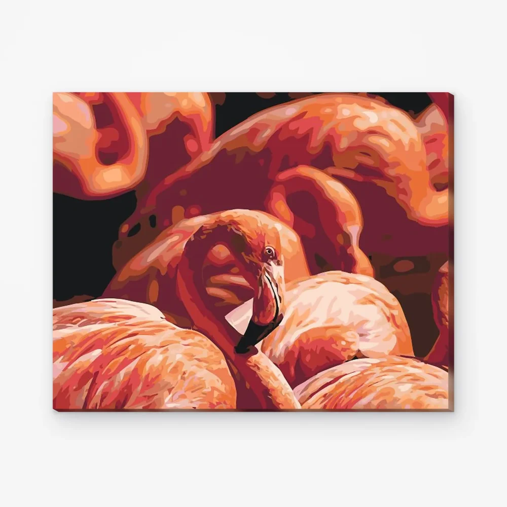 Pintar por Números - Flamencos 2