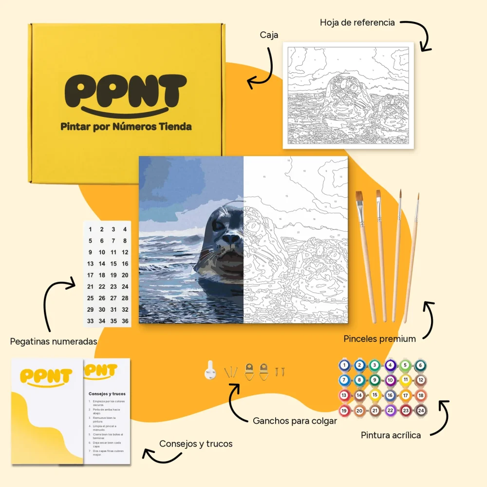 Pintar por Números - Focas a la caza
