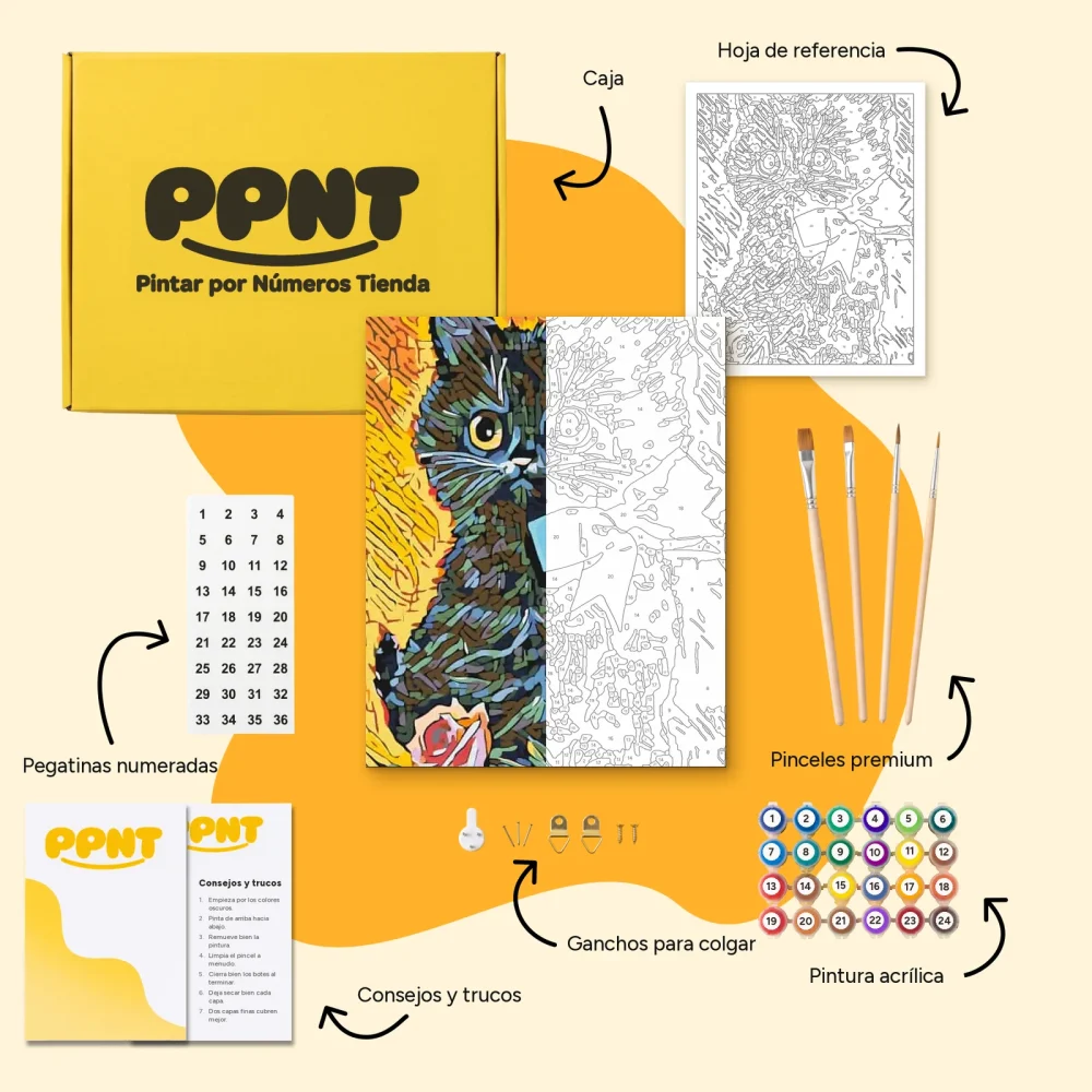 Pintar por Números - Gatito con lazo