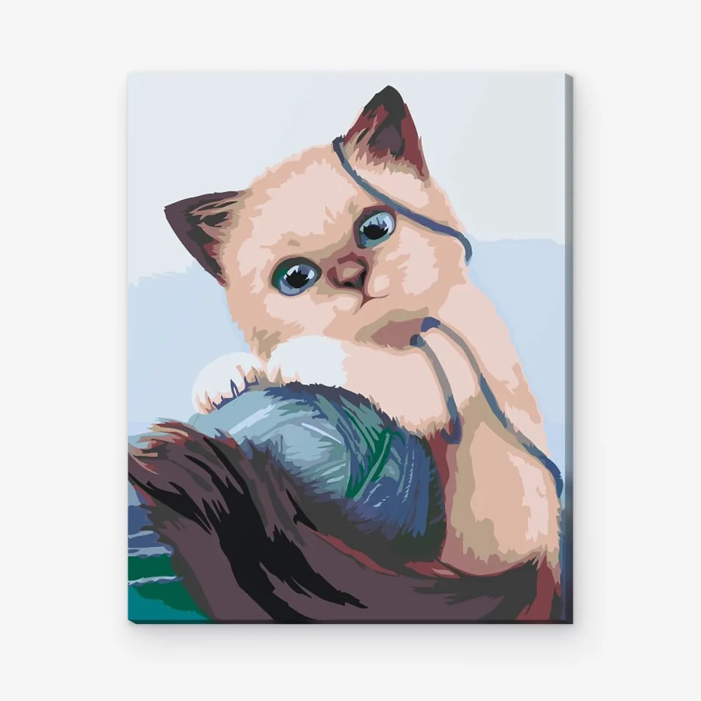 Pintar por Números - Gatito con pelota
