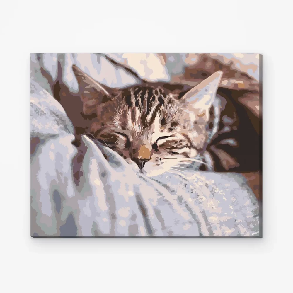 Pintar por Números - Gatito dormido