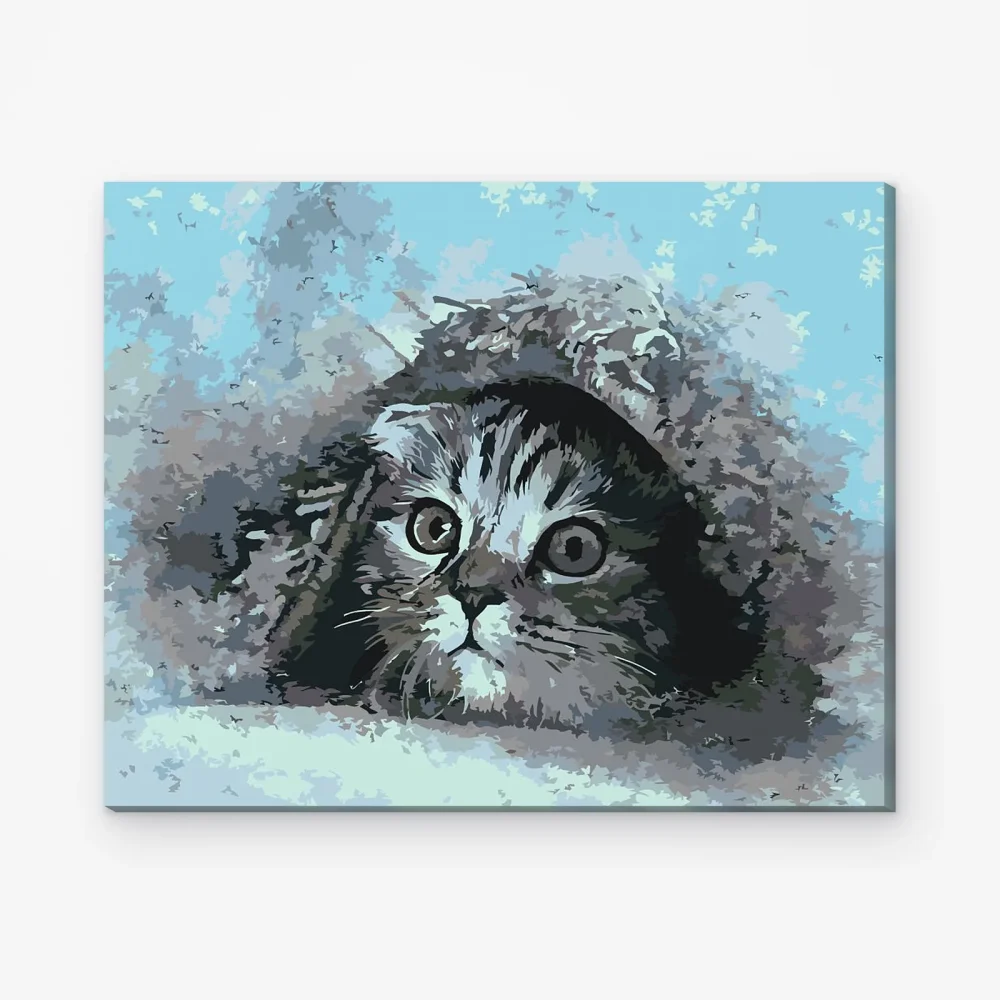 Pintar por Números - Gatito oculto