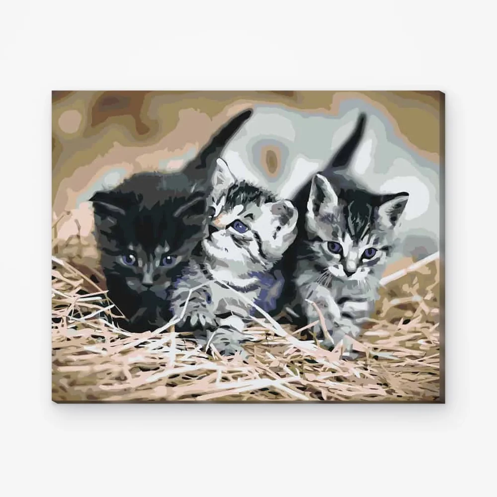 Pintar por Números - Gatitos