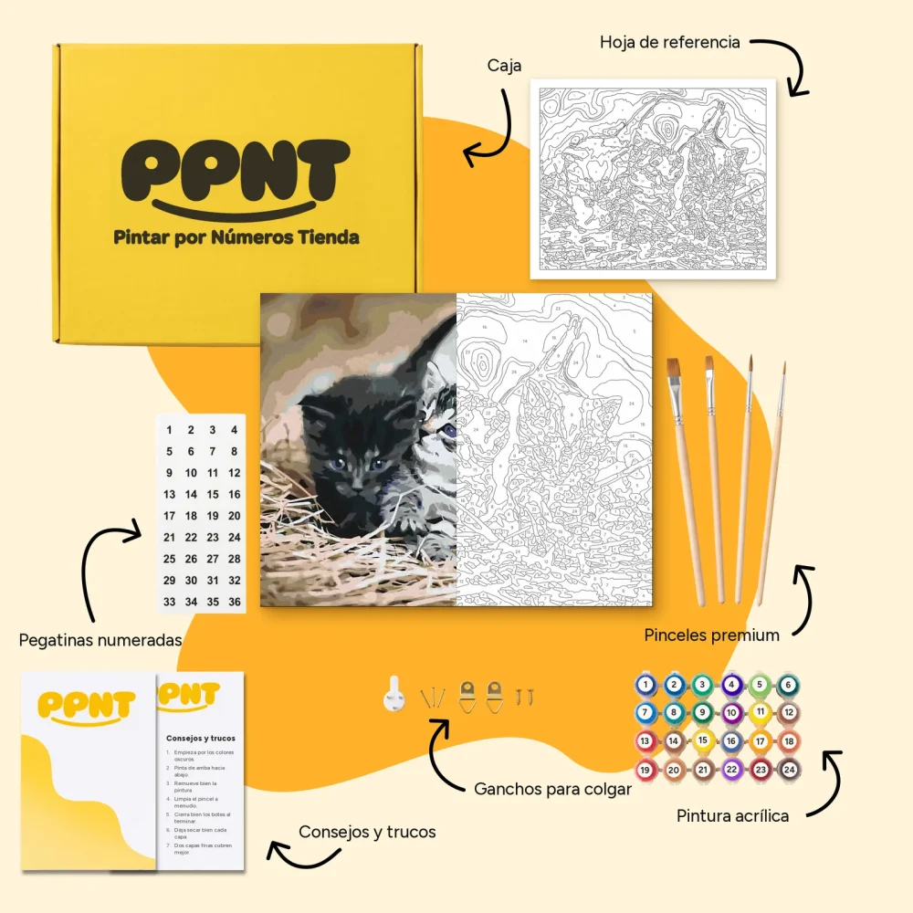 Pintar por Números - Gatitos