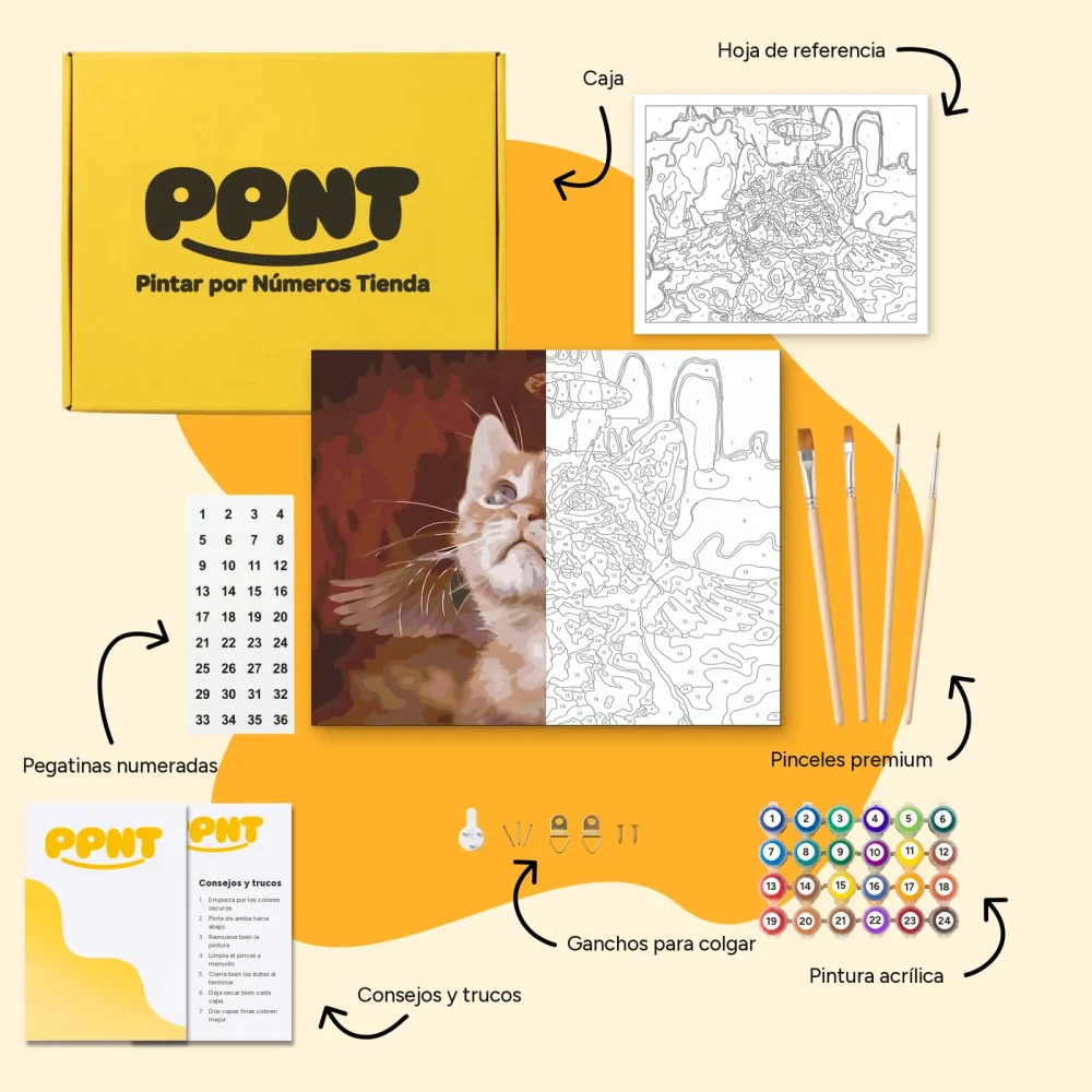Pintar por Números - Gato Ángel