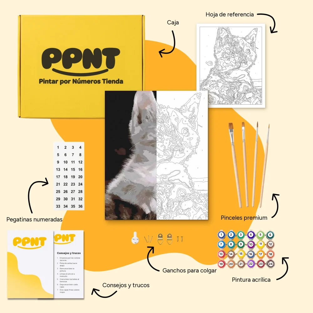 Pintar por Números - Gato blanco