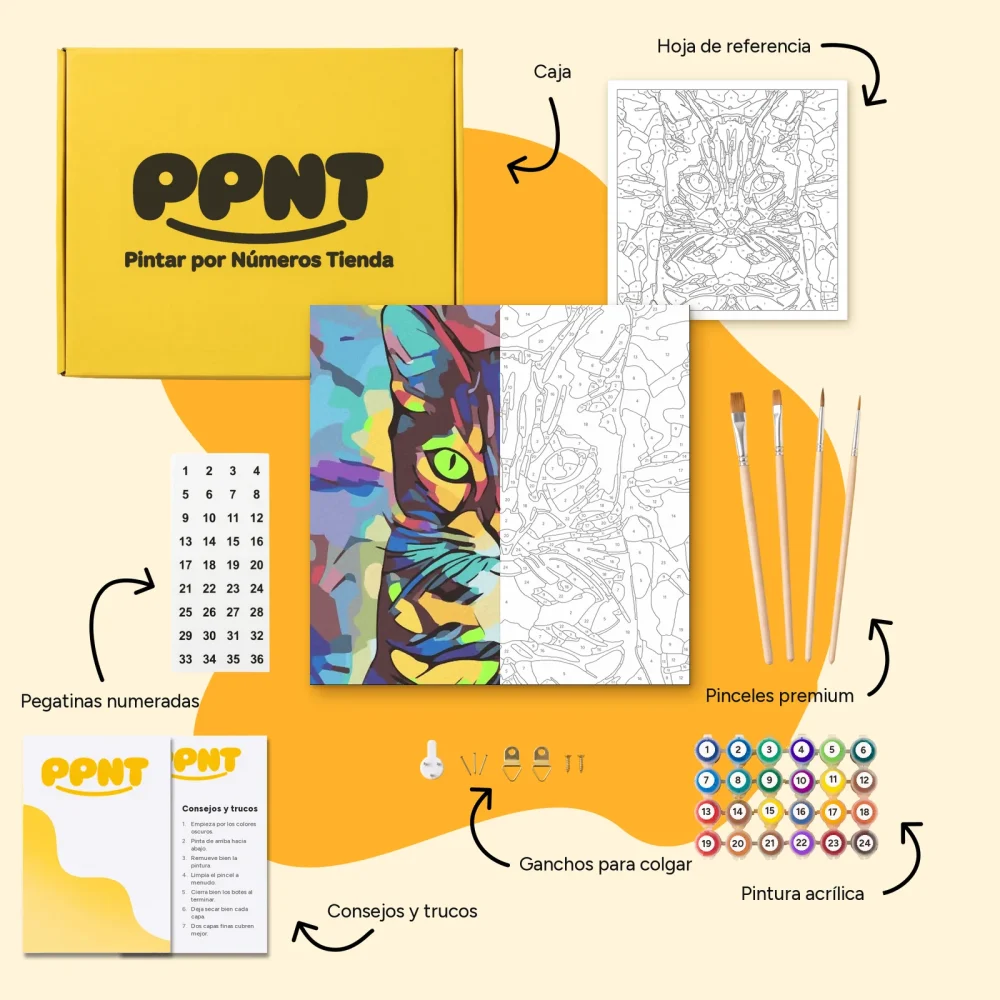 Pintar por Números - Gato de colores