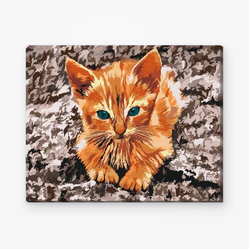 Pintar por Números - Gato descansando sobre una roca