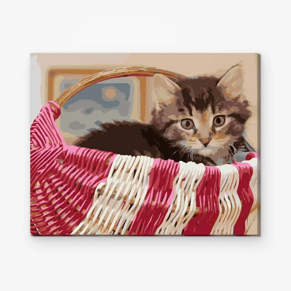 Pintar por Números - Gato en la cesta