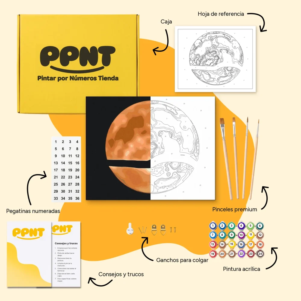 Pintar por Números - Gato en luna llena
