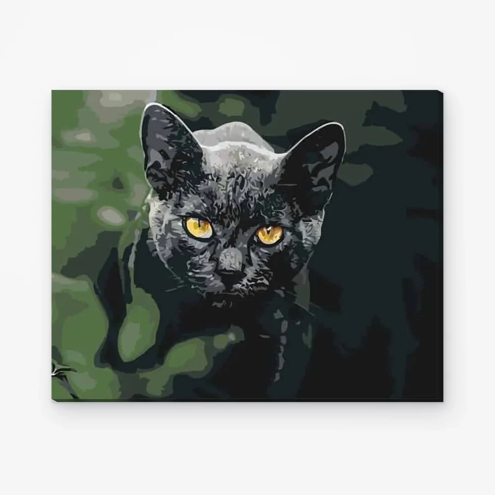 Pintar por Números - Gato negro