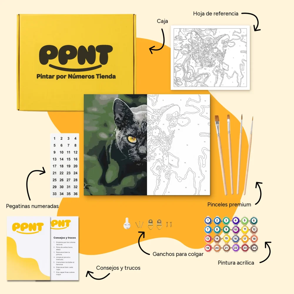 Pintar por Números - Gato negro