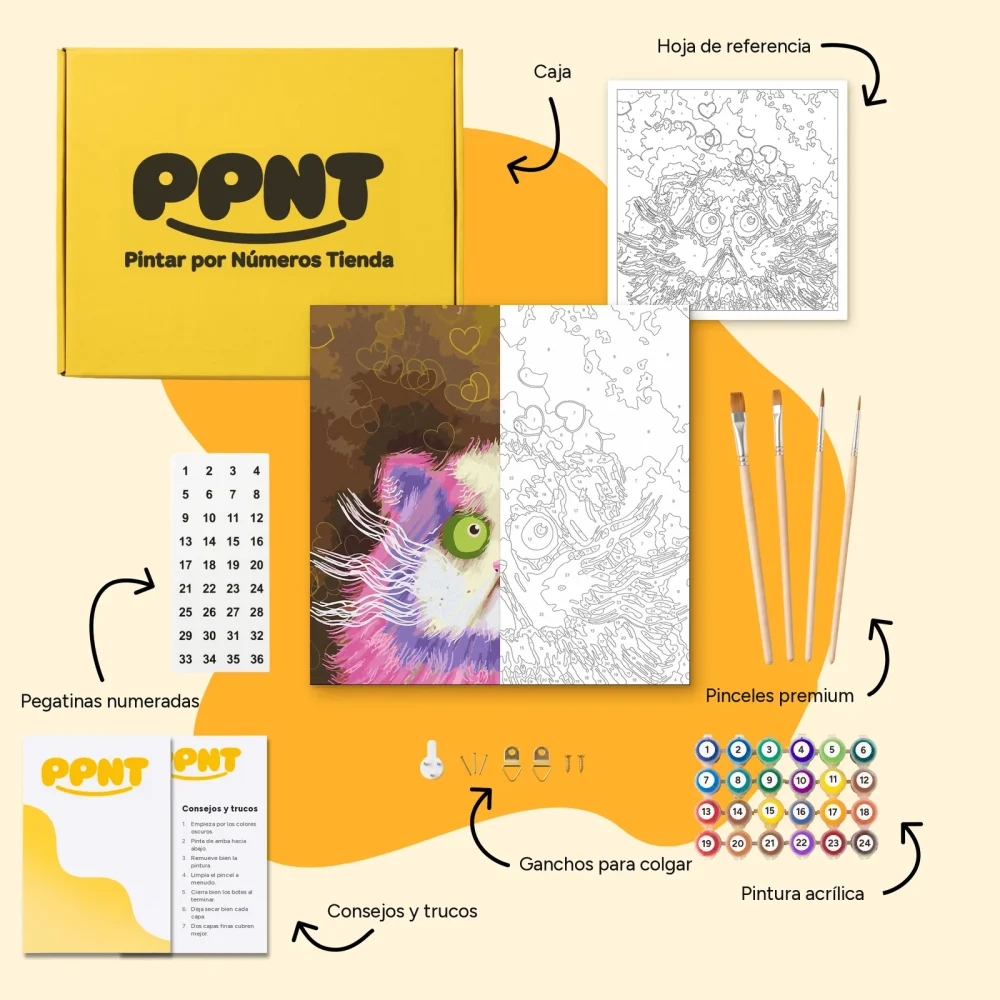 Pintar por Números - Gato somnoliento