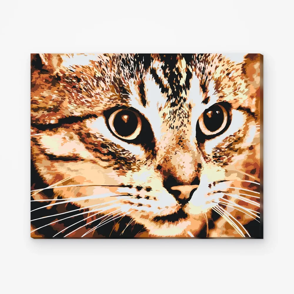 Pintar por Números - Gato tigre