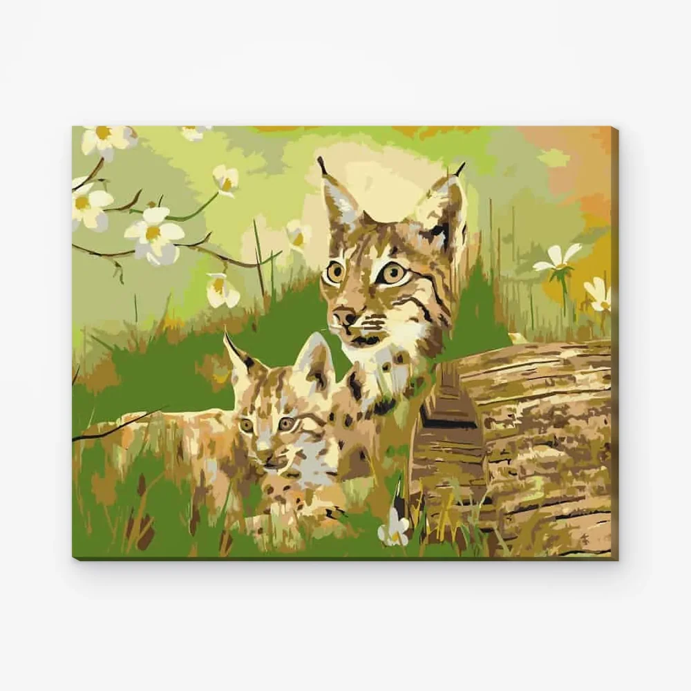 Pintar por Números - Gatos salvajes en libertad