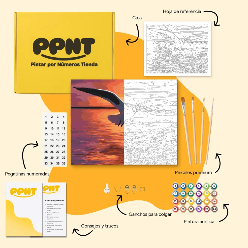 Pintar por Números - Gaviota sobre el mar