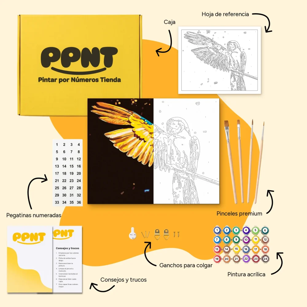 Pintar por Números - Guacamayo azul y amarillo