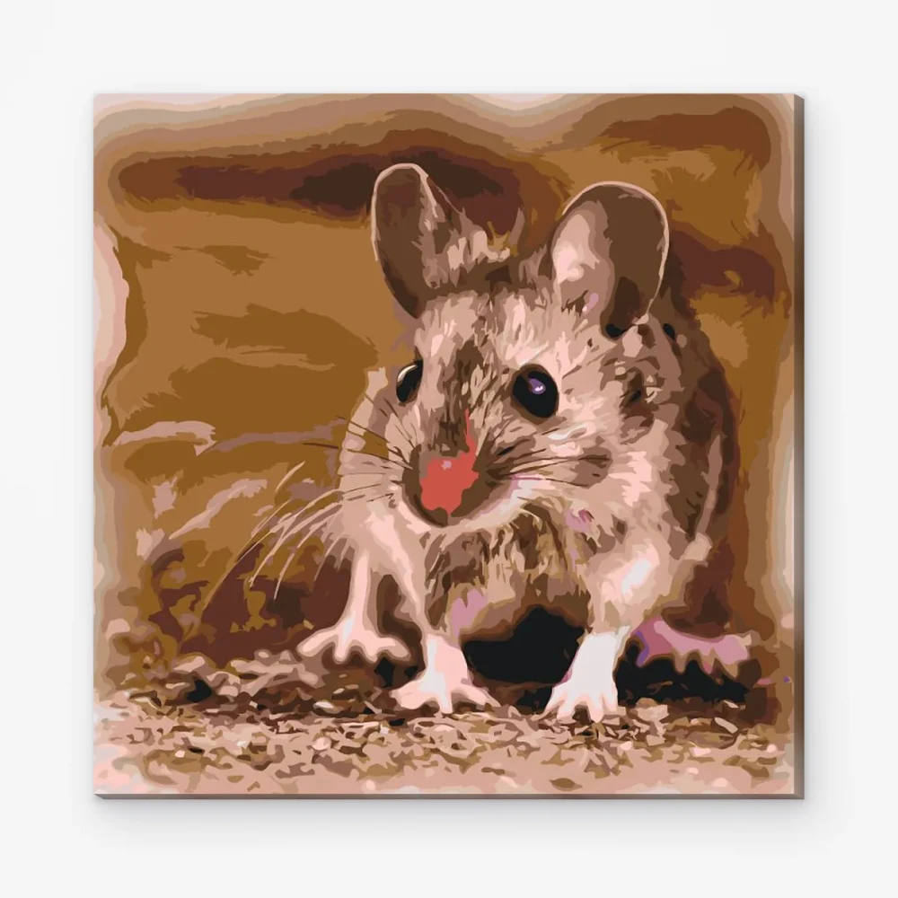 Pintar por Números - Hámster pequeño