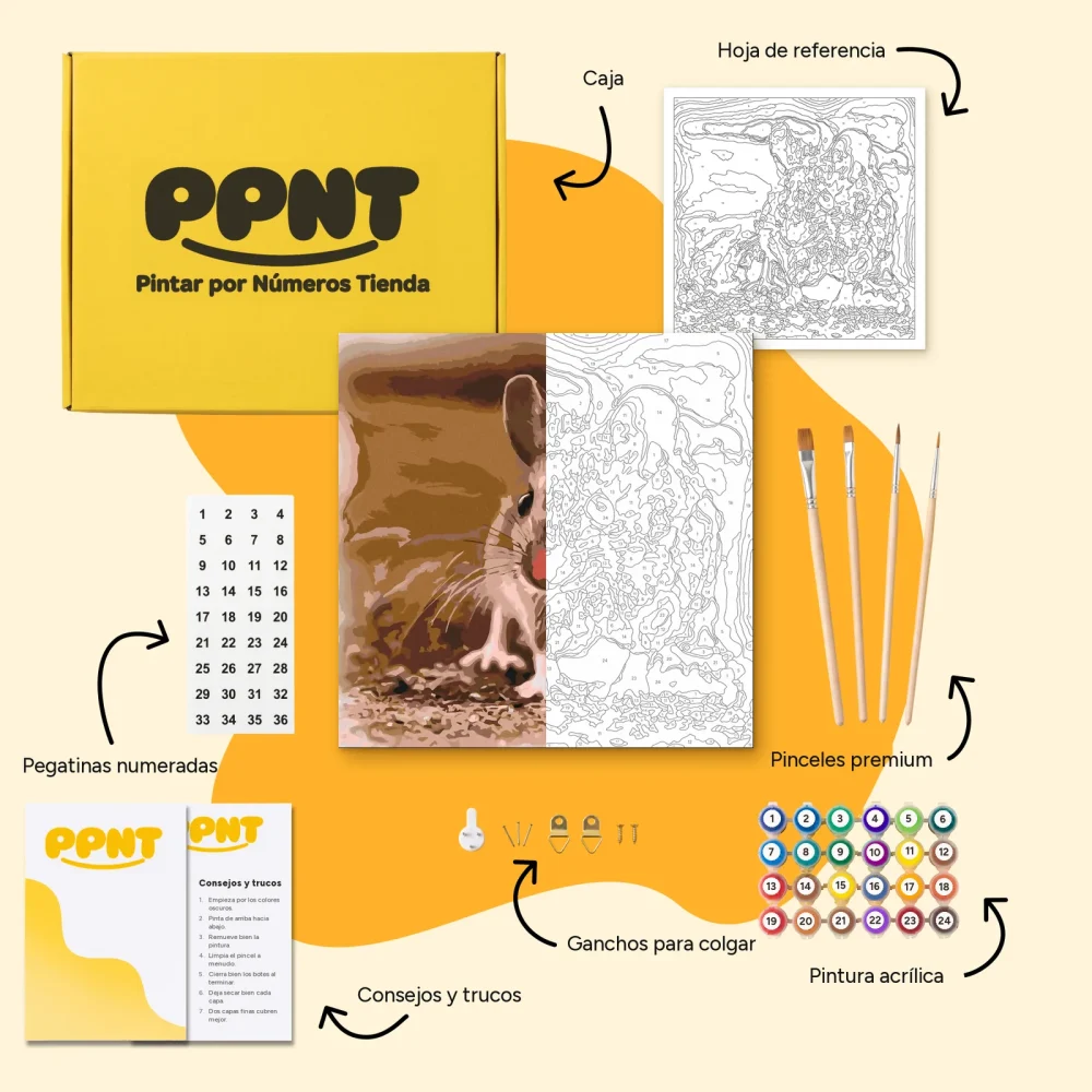 Pintar por Números - Hámster pequeño
