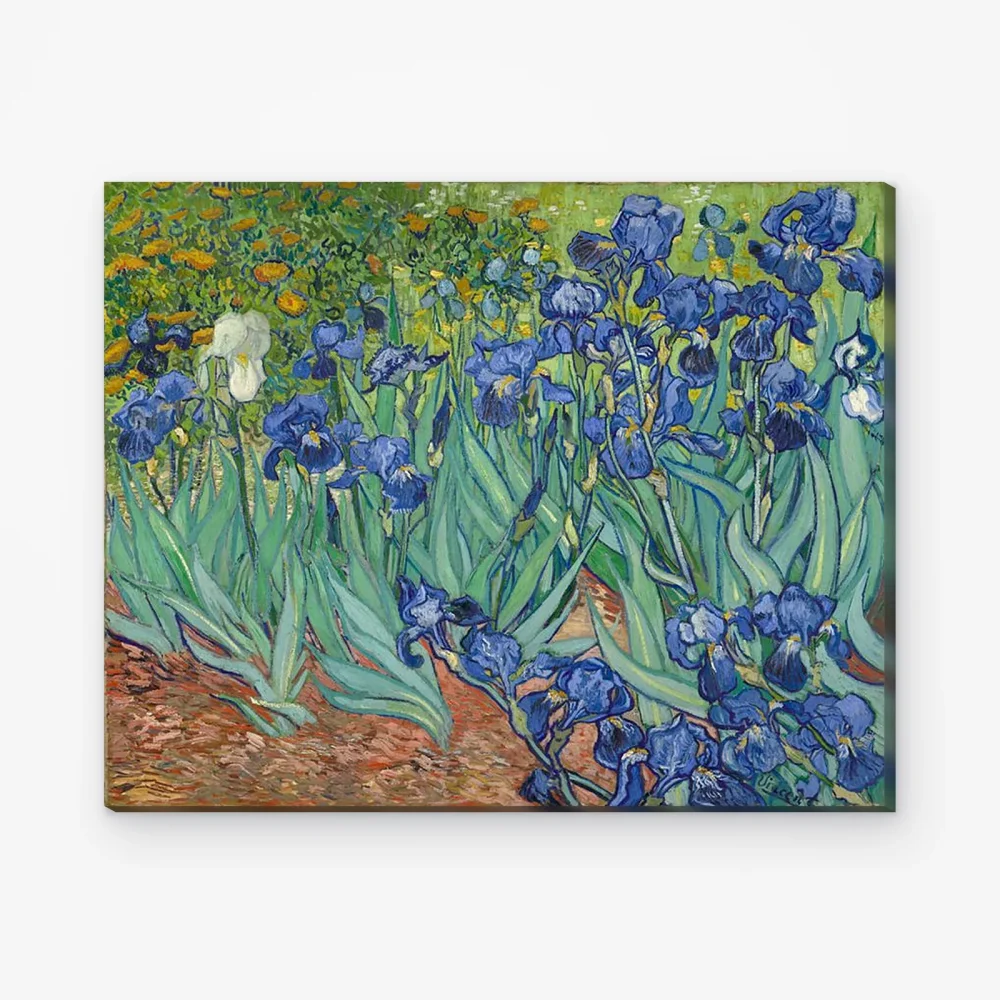Pintar por Números - Hermosas flores Van Gogh