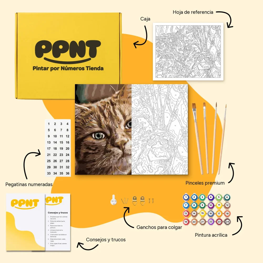 Pintar por Números - Kat op het hek