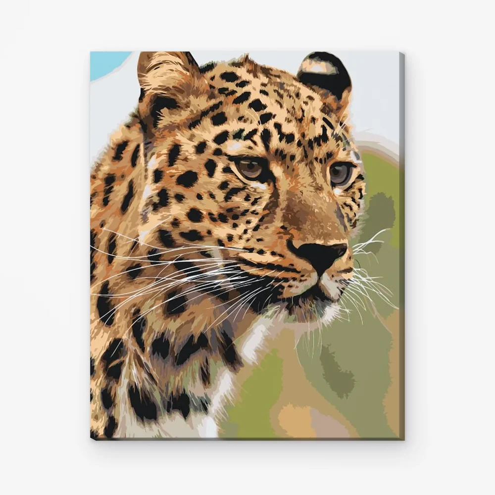 Pintar por Números - l rostro cazador de un leopardo