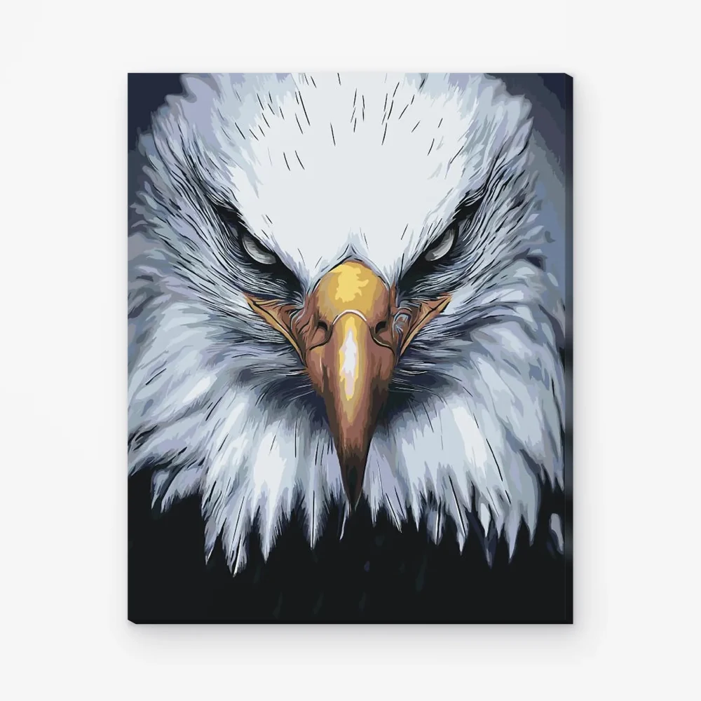 Pintar por Números - La cabeza de un águila