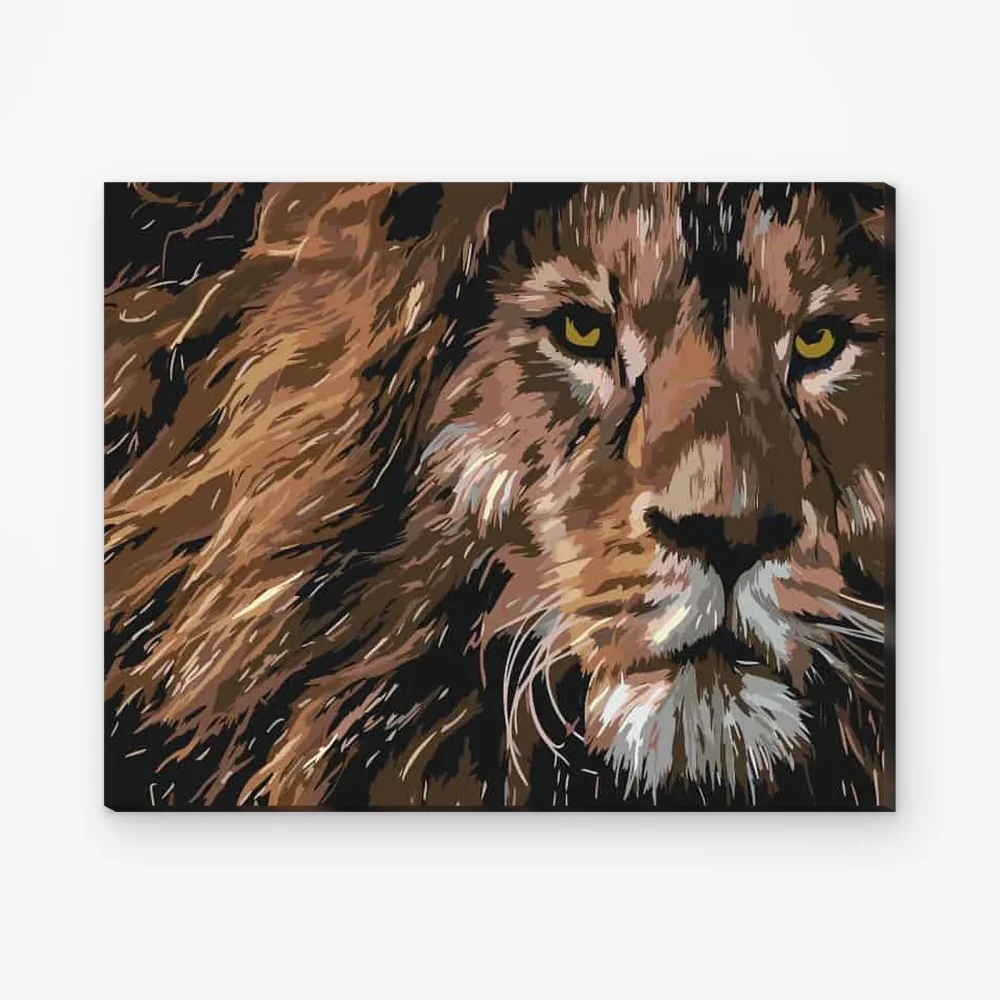Pintar por Números - La mirada depredadora de un león