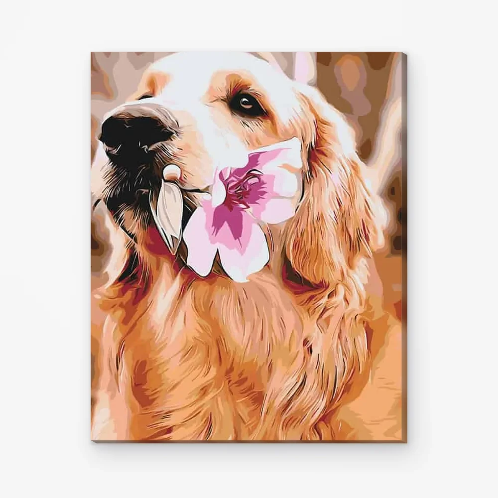 Pintar por Números - Labrador con flor