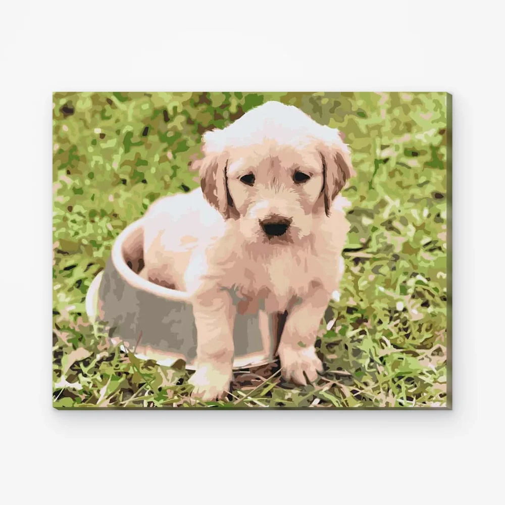 Pintar por Números - Labrador en un cuenco