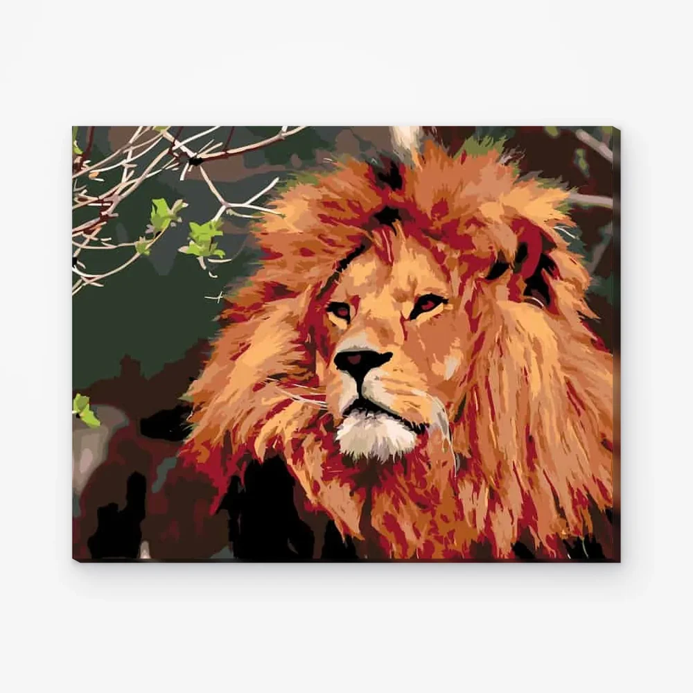 Pintar por Números - León