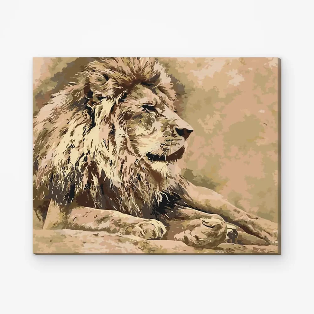 Pintar por Números - León 2