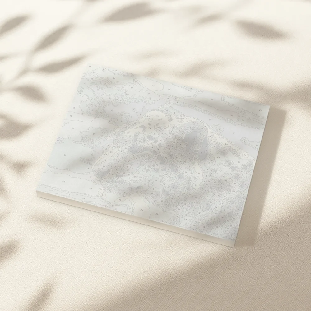 Pintar por Números - Leopardo blanco