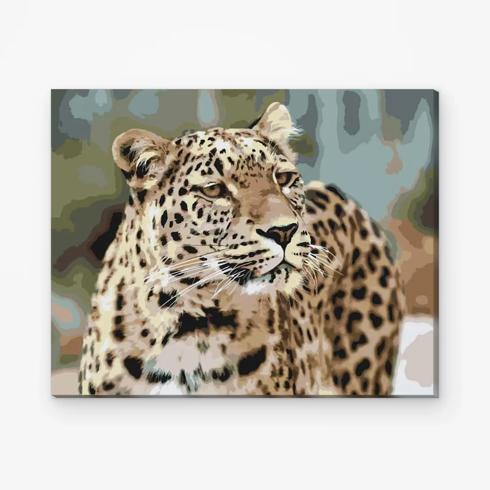 Pintar por Números - Leopardo en libertad