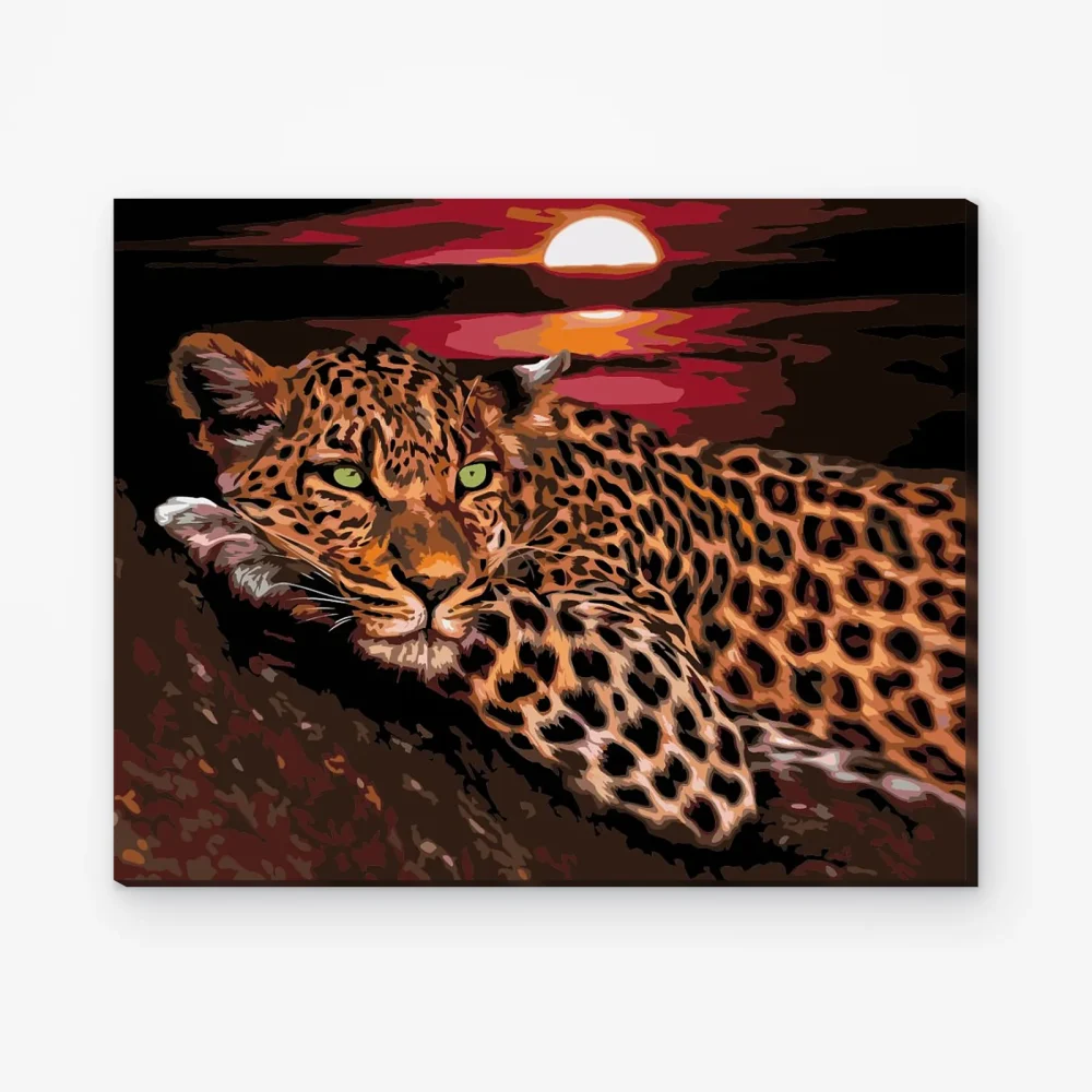 Pintar por Números - Levhart