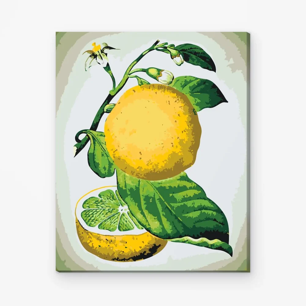 Pintar por Números - Limón fresco