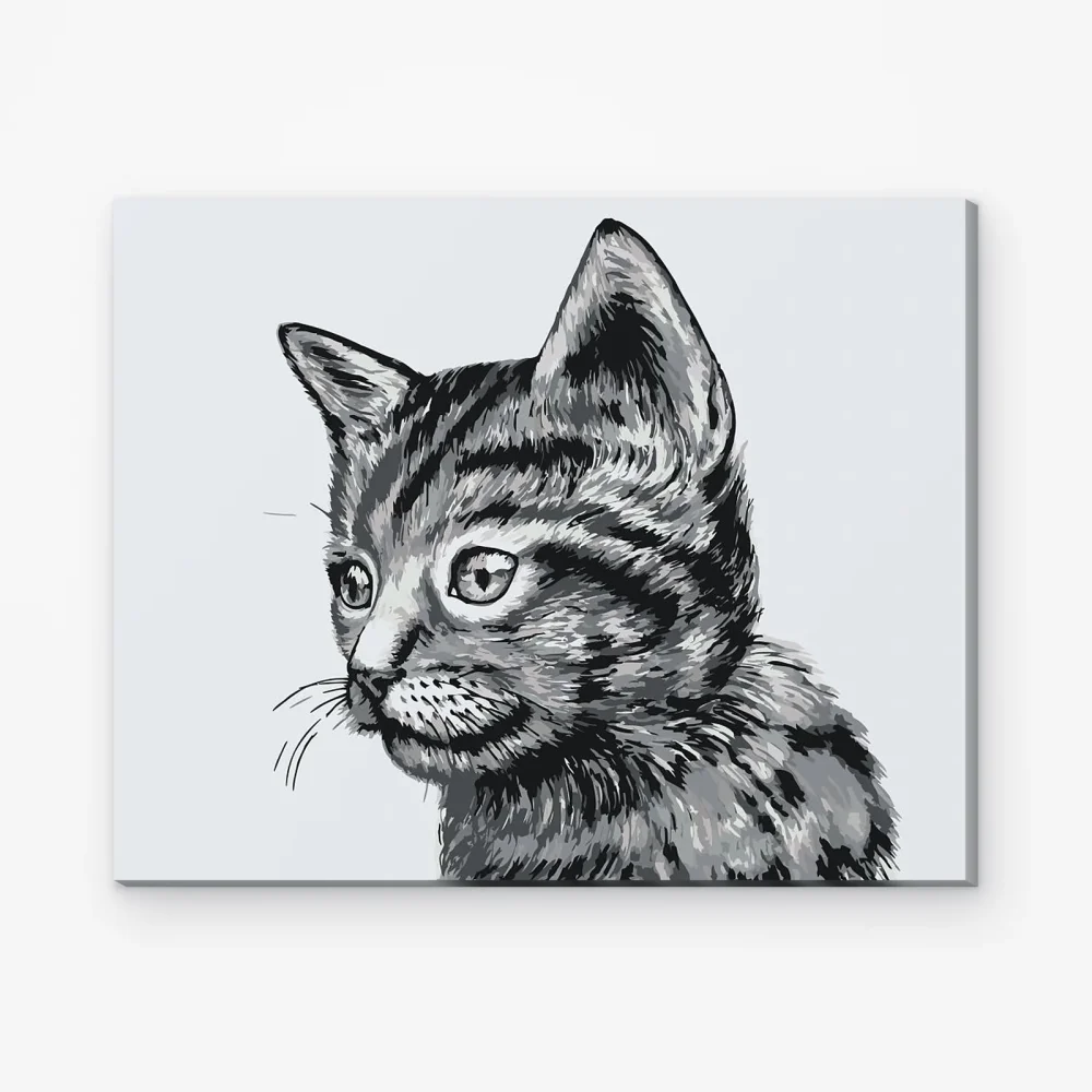 Pintar por Números - Lindo gatito blanco y negro