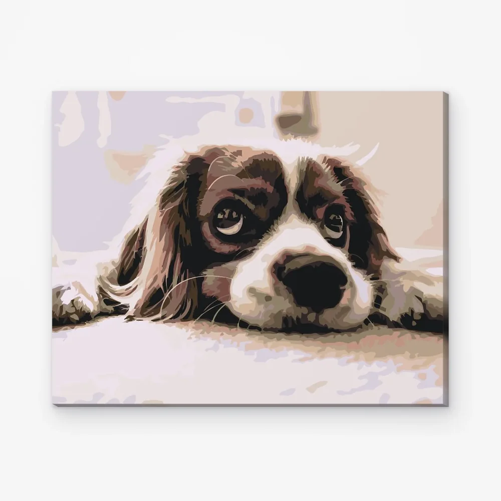 Pintar por Números - Lindo perro
