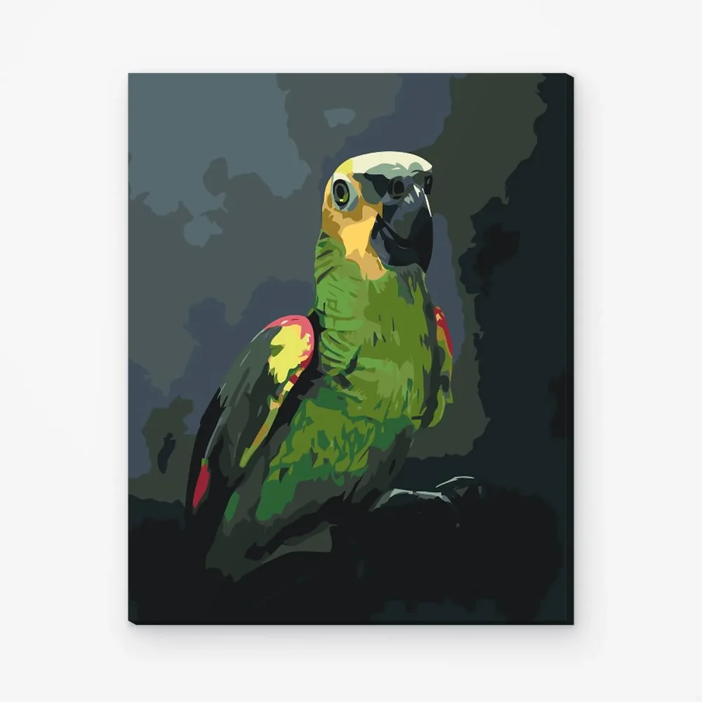 Pintar por Números - Loro amazónico