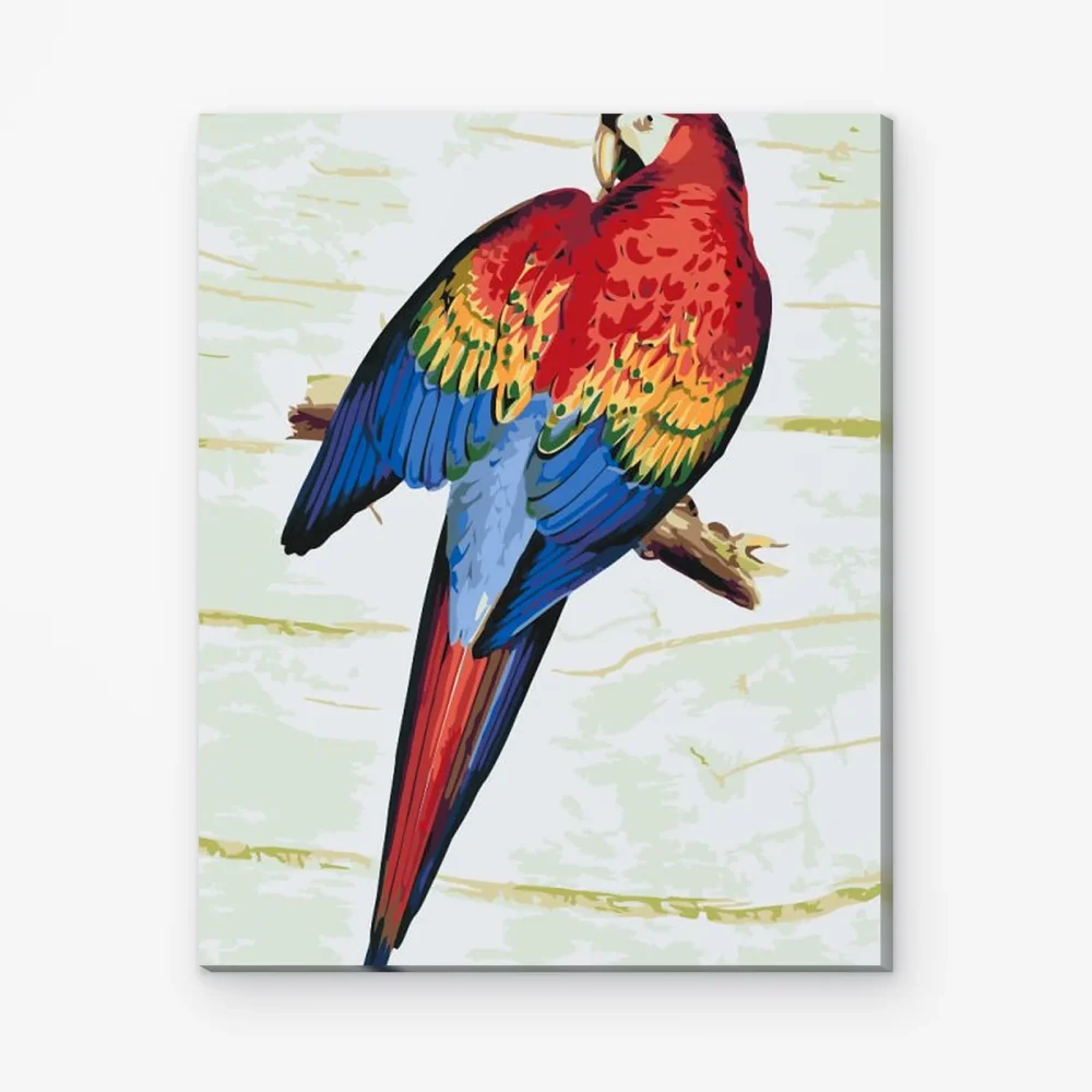 Pintar por Números - Loro vintage 2