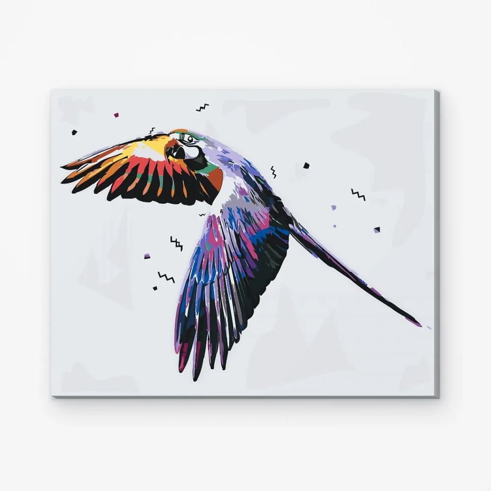Pintar por Números - Loro volador