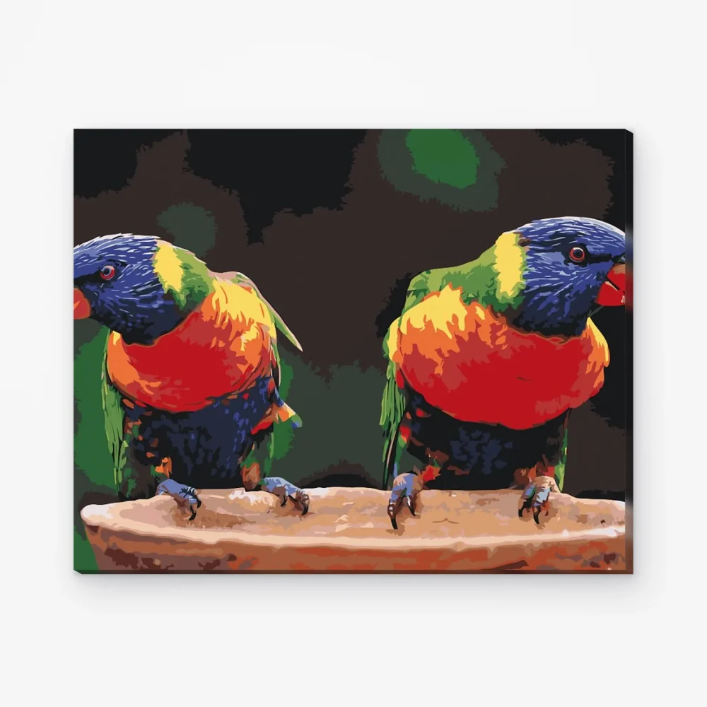 Pintar por Números - Loros arco iris