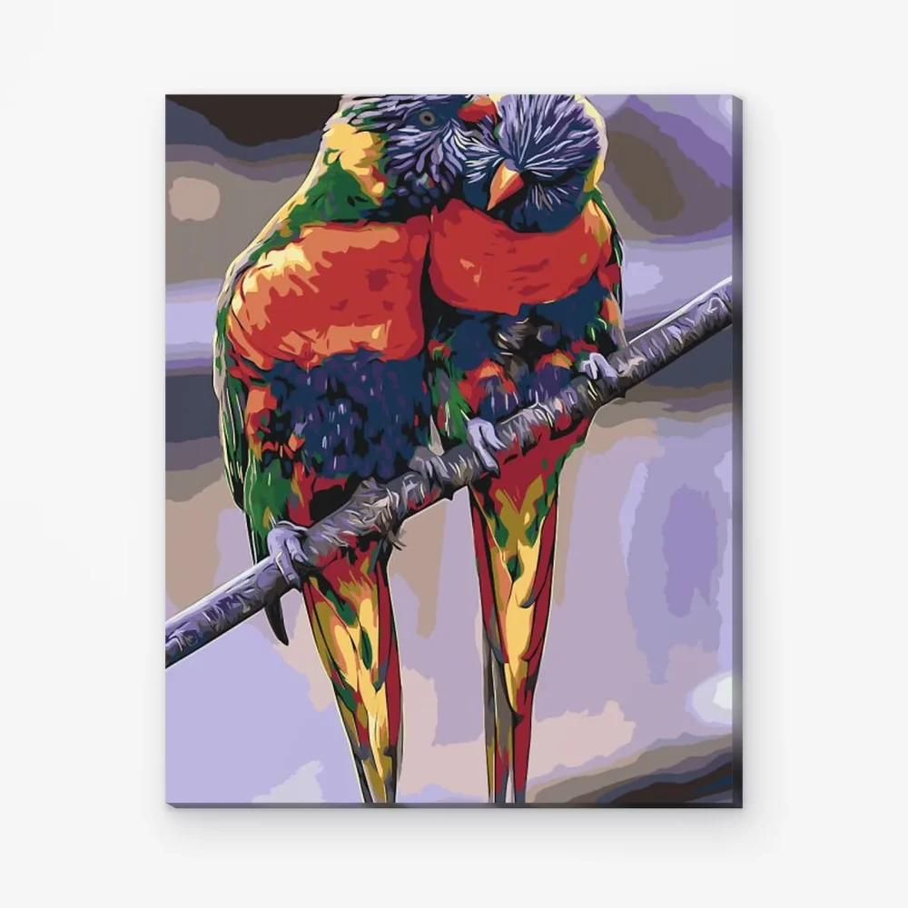 Pintar por Números - Loros arco iris 2