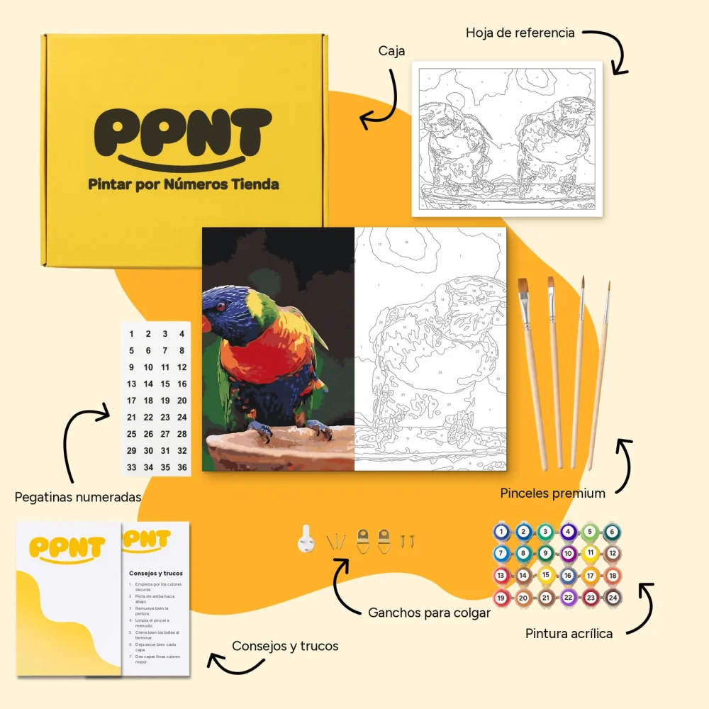 Pintar por Números - Loros arco iris