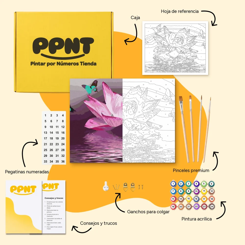 Pintar por Números - Loto y mariposa