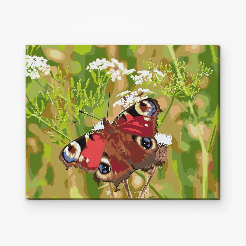 Pintar por Números - Mariposa en la hierba
