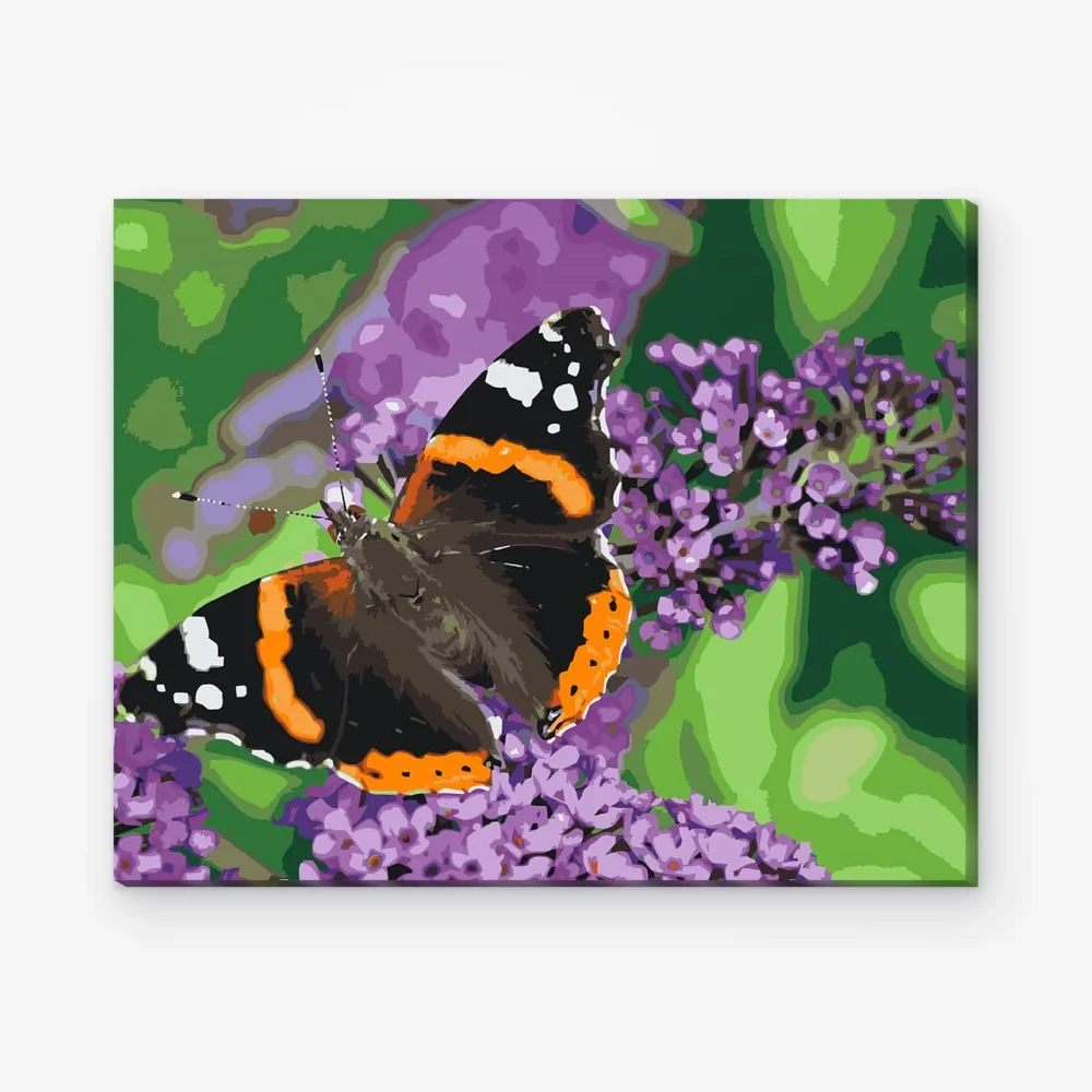 Pintar por Números - Mariposa en una flor morada