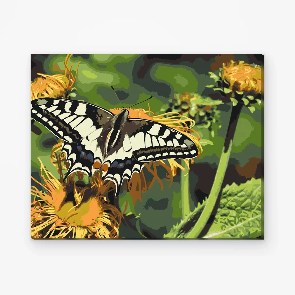Pintar por Números - Mariposa sobre diente de león